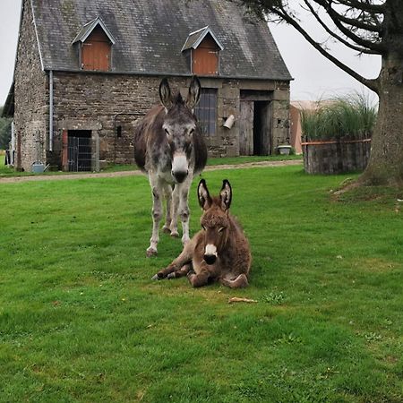 La Billardiere Camping A La Ferme Le Menil-Ciboult エクステリア 写真