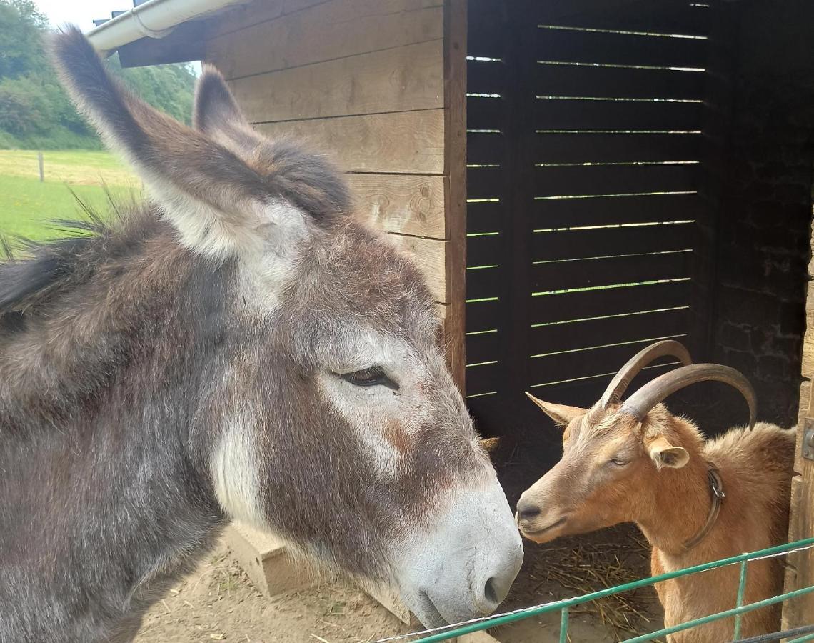 La Billardiere Camping A La Ferme Le Menil-Ciboult エクステリア 写真