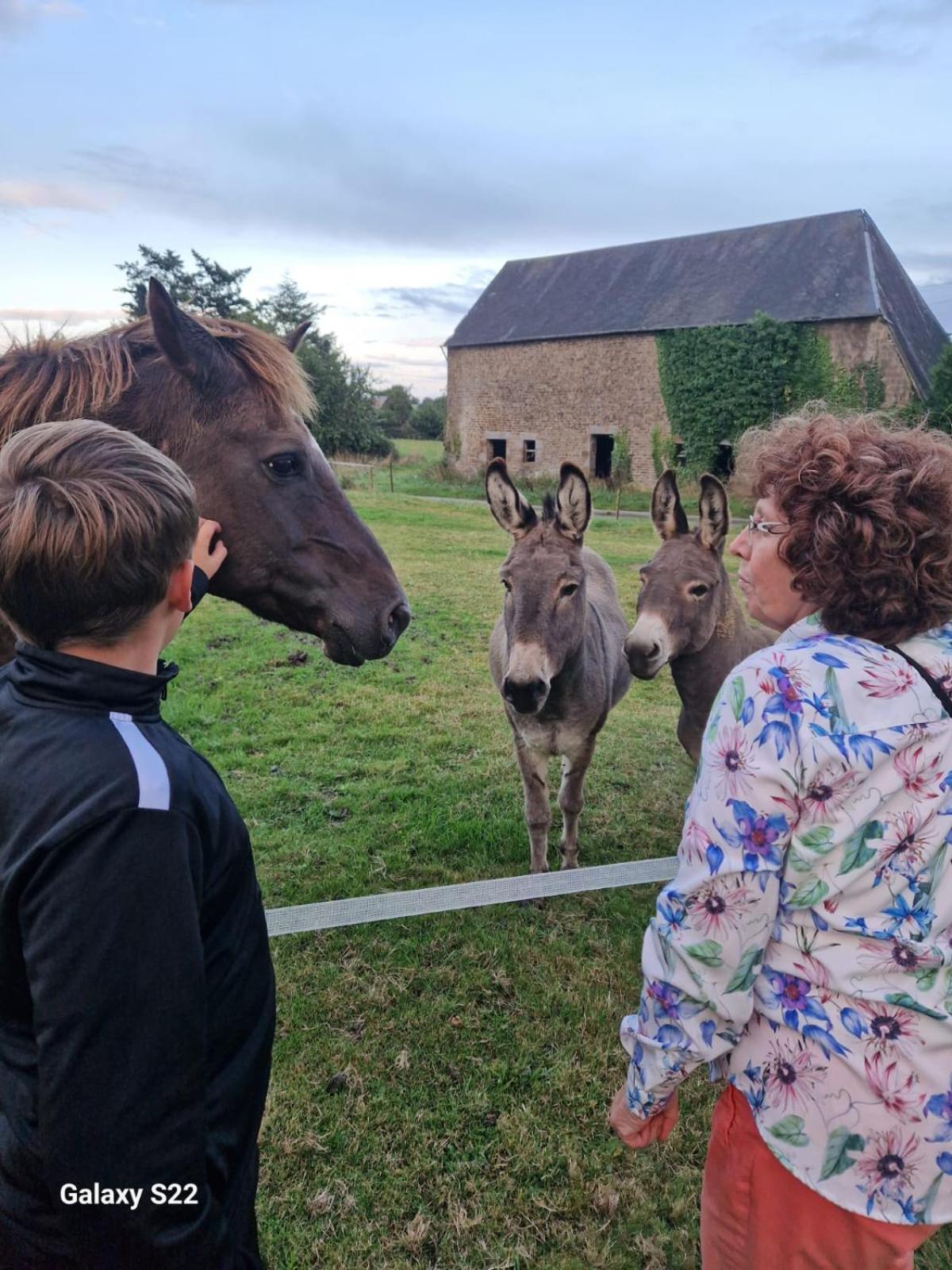 La Billardiere Camping A La Ferme Le Menil-Ciboult エクステリア 写真